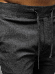 Штани чоловічі Темно-сірий OZONEE DJ/5539