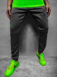 Штани спортивні чоловічі графіт JS/AM88Z