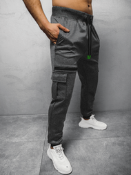 Штани спортивні чоловічі Графітові OZONEE JS/K10287