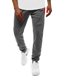 Spodnie dresowe męskie grafitowe OZONEE JS/JZ11021