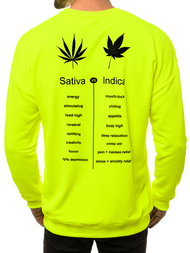 Bluza męska żółto-neonowa OZONEE MACH/3149