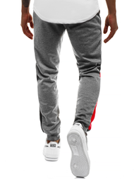 Spodnie dresowe męskie grafitowe OZONEE JS/JZ11027Z