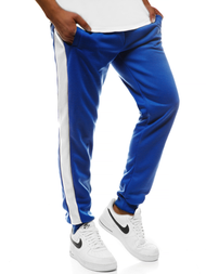 Штани спортивні чоловічі синій білий OZONEE JS/JZ11005
