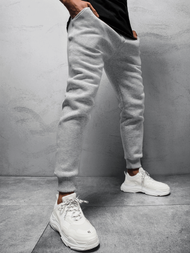 Штани спортивні чоловічі Яскраво-Сiрi OZONEE O/12110