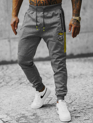 Штани спортивні чоловічі Графітові OZONEE JS/K10250Z