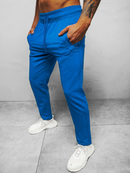 Штани спортивні чоловічі Синi B/18203022