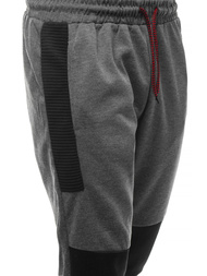 Штани спортивні чоловічі Темно-сірі OZONEE JS/JZ11015