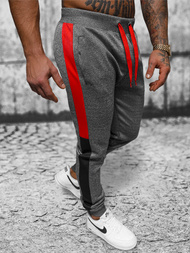 Штани Cпортивні Чоловічі Графітові OZONEE JS/JK99113