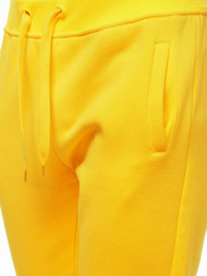 Штани спортивні чоловічі Яскраво-Жовтi OZONEE JS/XW01/69
