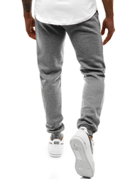 Штани спортивні чоловічі Темно-сірі MEN/CK01