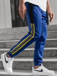 Штани спортивні чоловічі Кобальтовий OZONEE JS/K20013SP