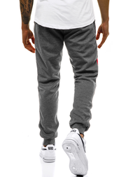 Штани спортивні чоловічі Темно-сірі OZONEE JS/JZ11019