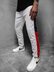 Штани спортивні чоловічі Бiлi OZONEE JS/JZ11012Z