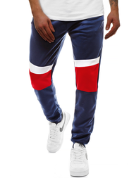 Штани спортивні чоловічі Темно-Синi OZONEE JS/JZ11010