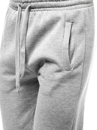 Spodnie dresowe męskie szare men/ck01