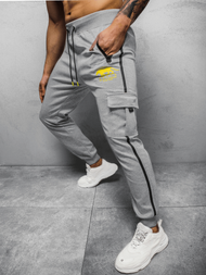 Spodnie dresowe męskie szare OZONEE JS/K10281
