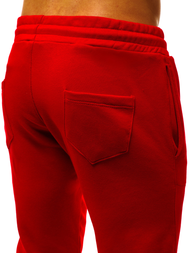 Штани спортивні чоловічі Червонi G/11129