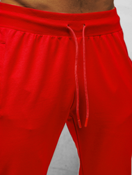Spodnie dresowe męskie czerwone b/18203022