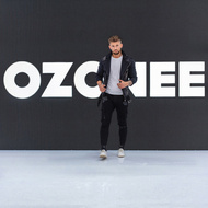 Стилізація 431