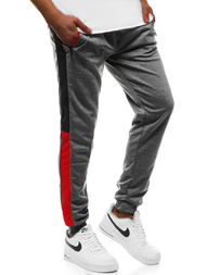 Штани спортивні чоловічі Темно-сірі OZONEE JS/JZ11027