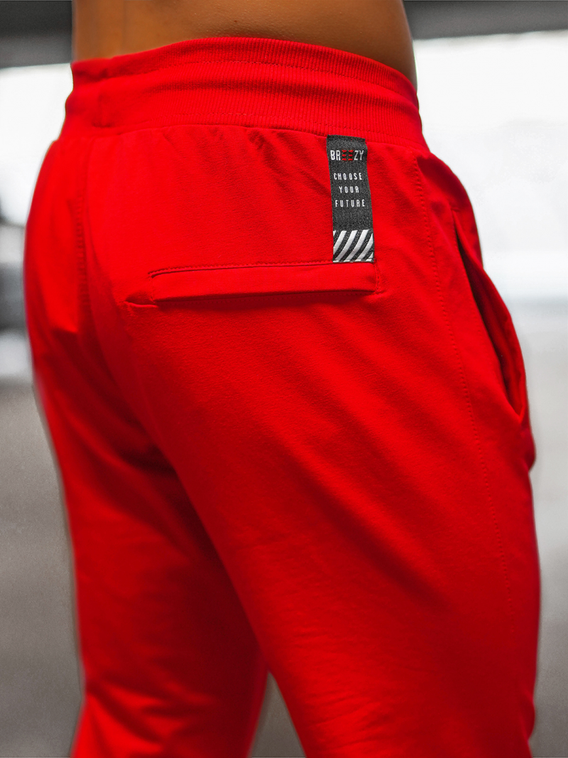 Штани спортивні чоловічі Червонi B/18203022Z