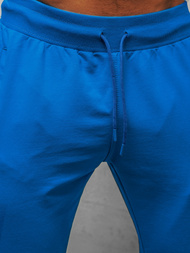 Штани спортивні чоловічі Синi B/18203022