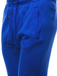 Штани спортивні чоловічі Кобальтові MEN/CK01