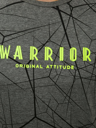 T-Shirt męski grafitowy OZONEE JS/SS10935Z