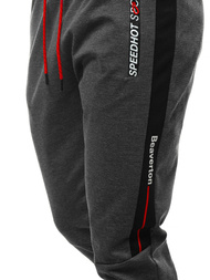 Штани спортивні чоловічі графіт OZONEE JS/AM107