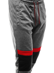 Штани спортивні чоловічі Темно-сірі OZONEE JS/JZ11010