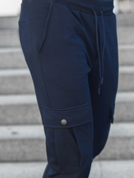 Штани спортивні чоловічі Сапфірові OZONEE C/374