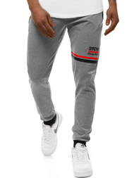 Spodnie dresowe męskie szare OZONEE JS/AM108