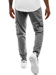 Штани спортивні чоловічі Темно-сірі OZONEE JS/JZ11009Z