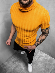 Светр чоловічій Гiрчичний OZONEE L/2294Z