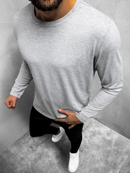 Longsleeve męski bez nadruku szary OZONEE JS/CX01Z