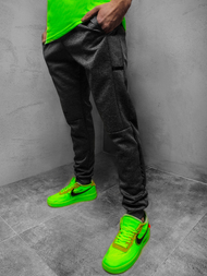 Штани спортивні чоловічі графіт JS/AM88Z